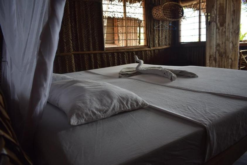 Ushongo Beach Bandas Pangani Eksteriør bilde