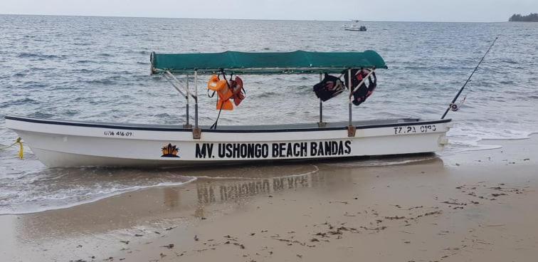 Ushongo Beach Bandas Pangani Eksteriør bilde