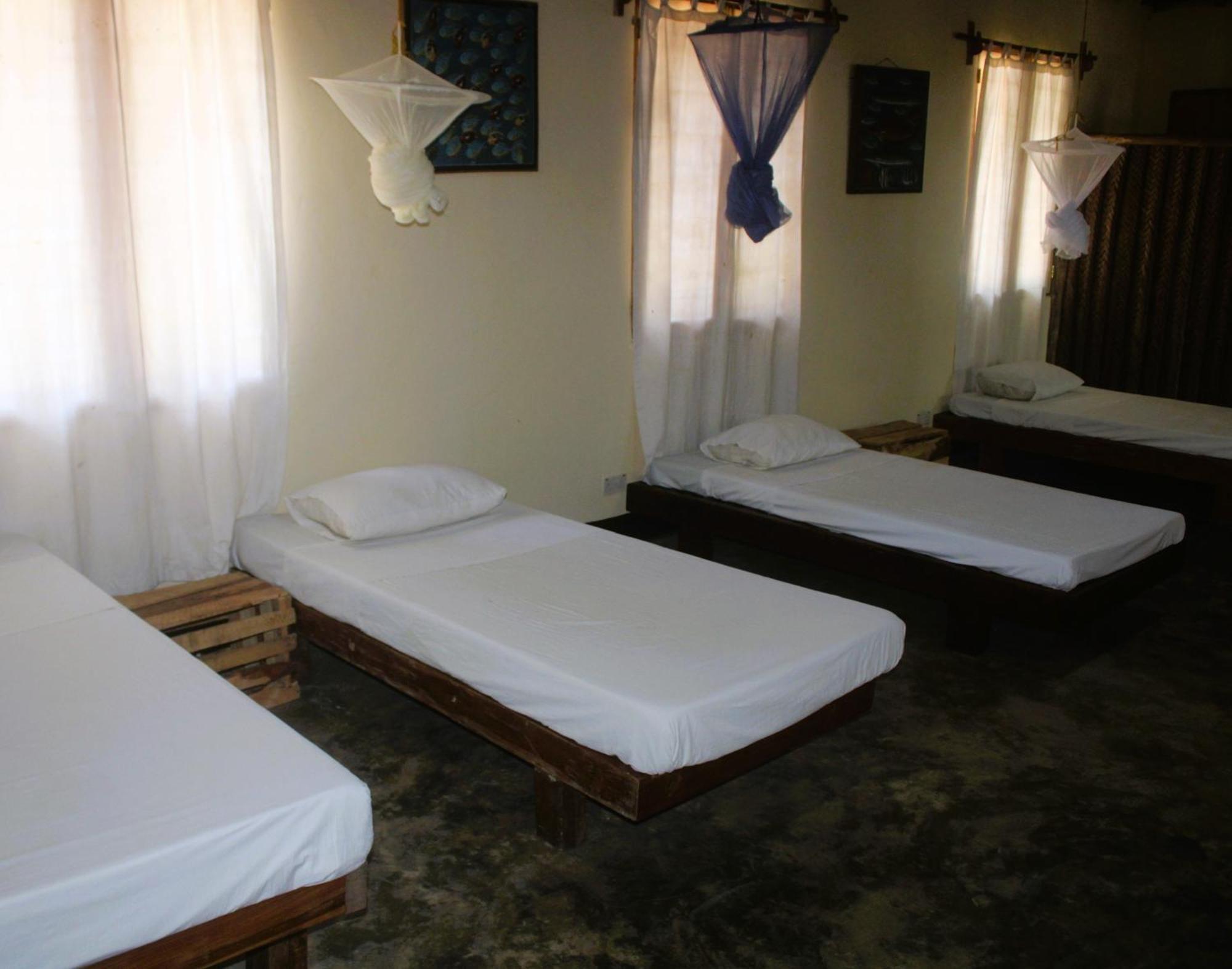 Ushongo Beach Bandas Pangani Eksteriør bilde